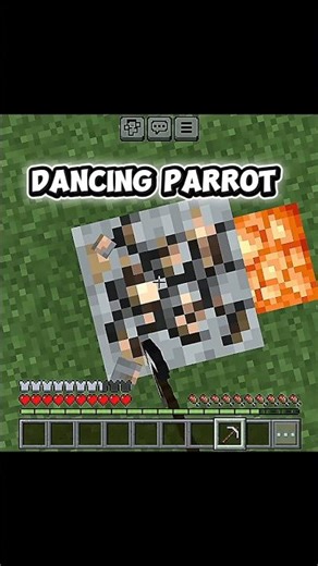 dancing parrot #minecraft #bedrock