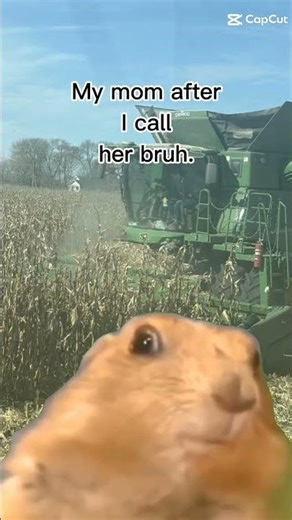 #funny