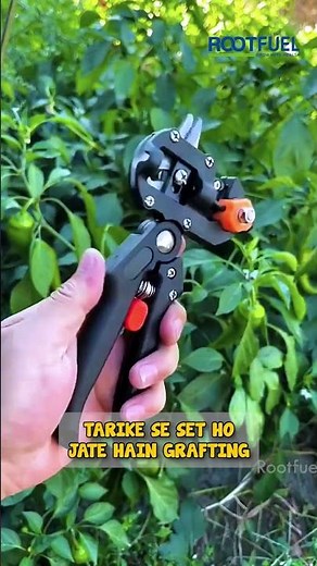 Dosto! Aap log plants grow karne mein saalon barbaad kar rahe ho