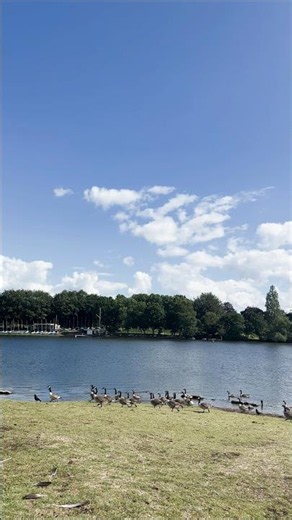 Sutton Park || Natural Reserve in Birmingham, UK || Sutton Coldfield #travel #nature #england #uk