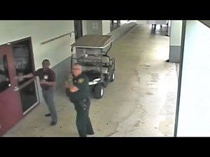 Breaking Down New Surveillance Video During Parkland School Shooting