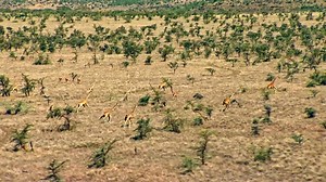 69K views · 1.1K reactions | Let’s thrive with nature. See how we’re conserving our planet for generations to come. | The Nature Conservancy in New York | Facebook