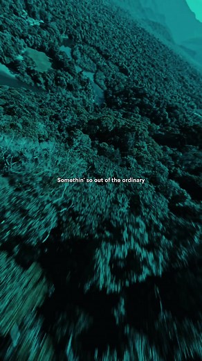 Exploring the Meaning Behind 'Ordinary' by Alex Warren