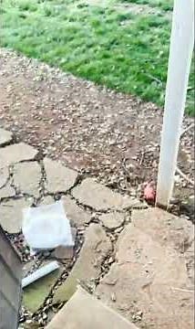 ROVSUN Mini Split Air Conditioner and Heating System with Inverter