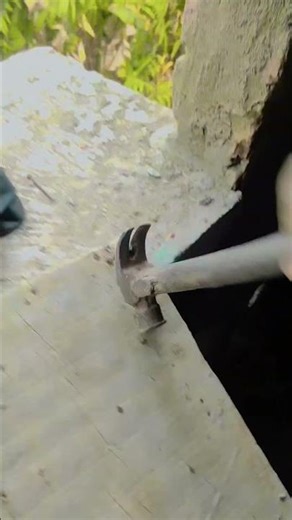 #song desi boo #⚒️