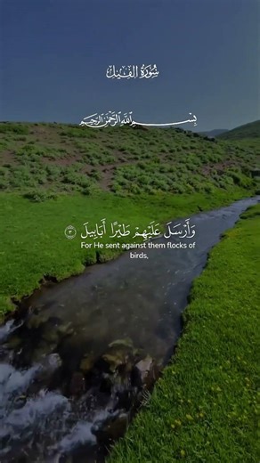 Surah Al-Fil (The Elephant) with English Subtitles | Beautiful Quran Recitation