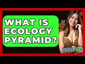 What Is Ecology Pyramid? - Ecosystem Essentials