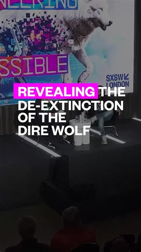 What happens when sci-fi becomes real-life science? 🧬 Looking back to Ben Lamm and Sophie Turner created this moment on the SXSW London stage, exploring @colossal’s incredible de-extinction of the Dire Wolf. Watch the full session now on YouTube ⚡️ #SXSWLondon | SXSW London