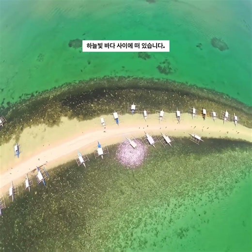🌴보홀 버진 아일랜드 드론으로 담은 천국 Bohol Virgin Island Drone View–A Slice of Paradise🌴ボホール・バージンアイランド｜ドローンで見る絶景