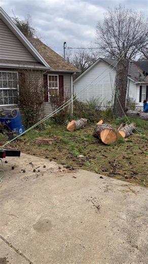 #treeworkexperts #treeremovalservice #EmergencyTreeCare #treeclimber #TreeServiceProfessionals #stumpremoval #treeservicecompany | Calo’s TREE Service