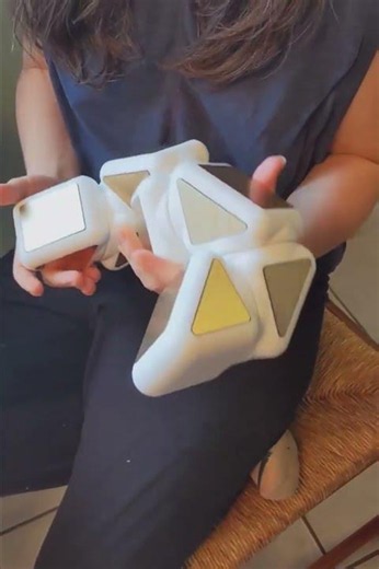 PET Companion Robot v0.1, December 2025 #robot