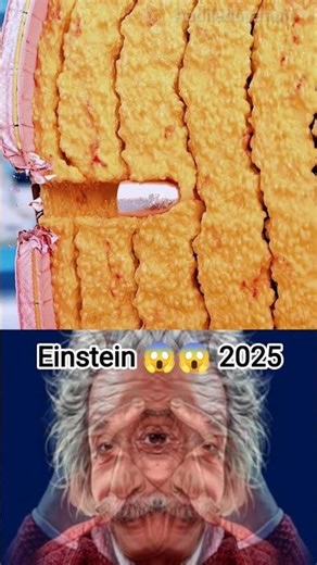 physics teacher 🗿 #shorts #ytshorts #physics #alberteinstein #physicsfacts #facts