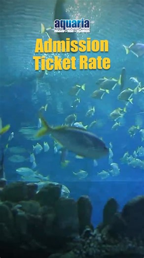 Get your tickets now on our website and walk-in through Aquaria KLCC! #kualalumpur #kIcc #aquariakIcc 🦈🐡🐠🪼🦀🐙 | Aquaria KLCC