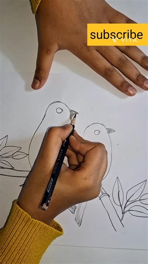 Bluebird Drawing #birds #shorts