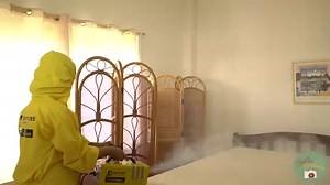 4.8K reactions · 318 shares | The Best Cleaners Are Ready For Your Home!   Experience Busy Bee Cleaning Co. most rated deep cleaning process. ⭐️⭐️⭐️⭐️⭐️ | Busy Bee Cleaning Co. | Facebook