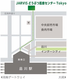 『JARVISどうぶつ医療センターTokyo』、11月1日より夜間救急を開始