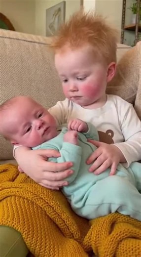 Toddler Gets Shocked & Calls His Baby Brother “Rude!”😂💨 #CuteKids #toddlerreaction #FunnySiblingMoment #fyp #ToddlerTalk #FunnyTollders #BabyLaughs #TwinBabies #familycomedy #ytshorts