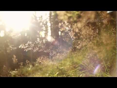 N°055 - relaxdaily (calm and peaceful instrumental music, piano & guitar)