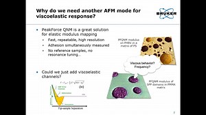 Exploring the Limits of Viscoelastic Phenomena with AFM Based Nanomechanics | AFM Webinar