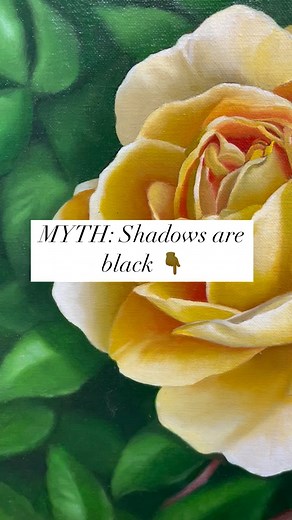 A common mistake made by beginning painters is to paint shadows pure black. There are many different types of shadows: cast, form, accent etc. and they all behave differently. But all shadows have a value and almost always have a hue. Look again, is there color in that shadow? To view more of my work: www.dyanpadgett.com #mythbuster #shadow #arttip #arttipsandtricks #fineart #flowers #floralart #oilpainting #realism #originalart #mplsartist | Dyan J. Padgett Fine Art