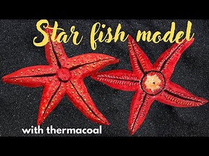 How to make Starfish 3D model with thermacoal / Starfish 3D model tutorial / #3dstarfishmodel