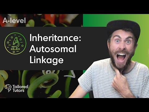 Inheritance: Autosomal Linkage | A Level Biology Revision