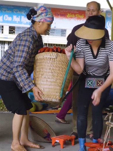 Harvesting Cucumbers and Making Pickles for Sale