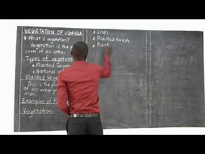 P5 SOCIAL STUDIES ONE