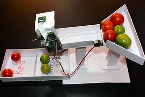 Tomato Sorting Machine using Edge Impulse TinyML on Raspberry Pi