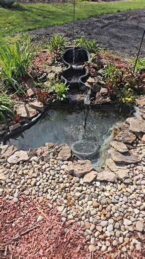 Take a few seconds and relax and listen to the sounds of nature. | Jesse Walker WTWO