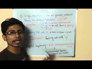 RNA biology | RNA structure and functions (mRNA, tRNA and rRNA)
