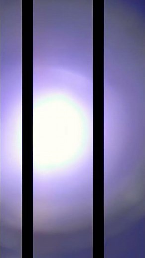 Think fast chucklenuts #funny #memes #flashlighttrend