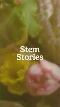 Colourful Blooms Arranged Into Pure Art 💐✨ #aesthetic #flowers