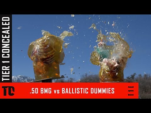 Ballistic Dummy Lab Ballistic Torso Slow Motion - 9mm, 10mm, 50ae, .223, 6.5 creedmoor, 50 BMG