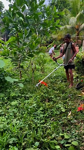 652K views · 3.1K reactions | Murang Mower Panlinis sa Farm Akala ko Di Gagana sa Sobrang Mura Maganda to #farm #equipment #farming #agriculture #farmlife #buhaybukid #buhayprobinsya | Farming Business Atbp | Facebook