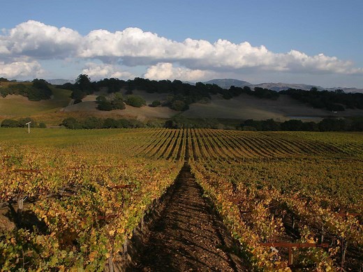 Chateau du Moulin-a-Vent