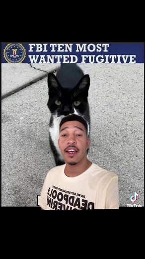 Maxwell The Cat - The Catman Villain Revealed