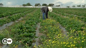 Mexico: Diversity for monocultures
