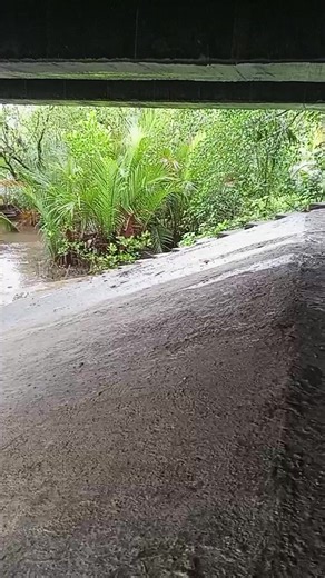 Mario Labro (@mario.labro7)’s videos with original sound - Mario Labro