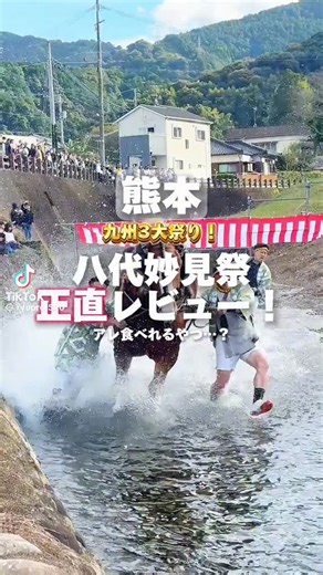 株式会社 HST marketing | . 【八代妙見祭】 11/22~23日 熊本県 八代神社 約380年の歴史をもつ八代妙見祭は、八代神社（妙見宮）の秋の大祭で、九州三大祭りの１つです。 11月22日に神幸行列（お下り）と前夜祭「御夜」が、翌日23日には神幸行列（お上り）が行われます。... | Instagram