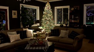 651K views · 15K reactions | Decorating Our New Christmas Tree!  | Garden Answer | Facebook