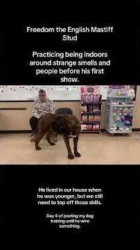 Day 4 posting my dog training until he wins something