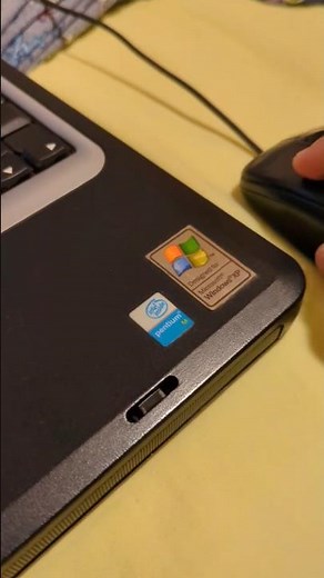 Windows XP pepe the frog in 2025 #retro #old #shorts