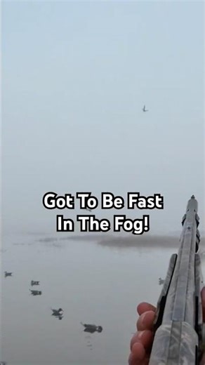 Two Widgeon, FAST Out Of The Fog! #waterfowl #duckhunting