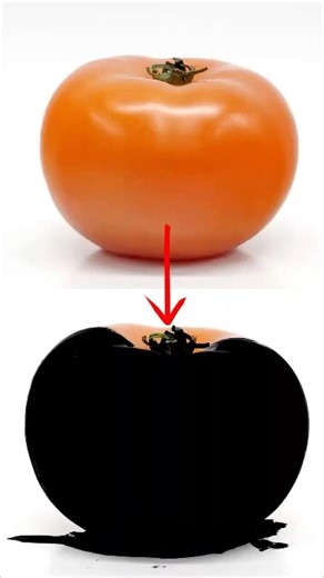 The Blackest Material Ever Made