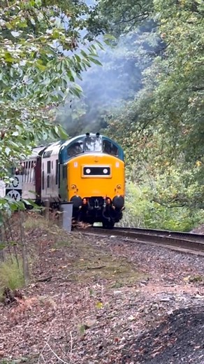 37264 accelerates away from Northwood Halt during the SVR 37 Gala! #traintok #trainspotter #class37 #severnvalleyrailway #fyp @Severn Valley Railway | Train.spotter123 | Facebook