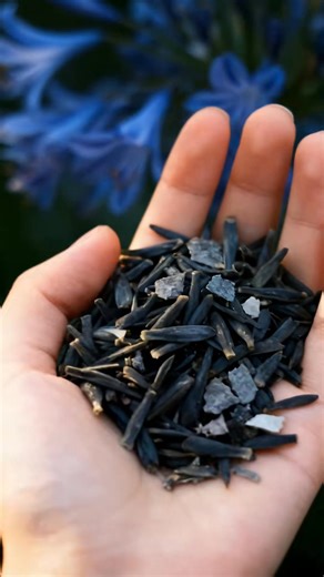 🌿 Hosta Seeds - Elevate Your Shade Garden! 🌿🌱 Hostas are shade garden superstars, offering lush foliage and effortless charm to your outdoor space. 🌱 With their textured, attractive leaves, these perennials are easy to grow, making them perfect for any gardener! ✔️ Elegant and decorative leaves ✔️ Simple to plant and care for ✔️ Fragrant and adaptable ✔️ Ideal for shaded areas https://t.site/4n6n9hF | Pre-Virtueas