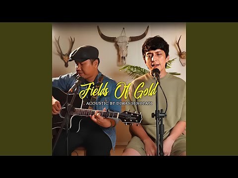 Fields Of Gold (Acoustic)