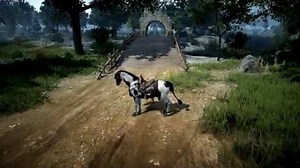 Black Desert Online Horse Skills