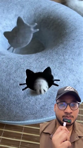 WHY THIS HOLE 🕳️ #Catsoftiktok​#CatLovers​ #cat​ #cute​ #FunnyCats​#catcartoon​#fyp​#shorts